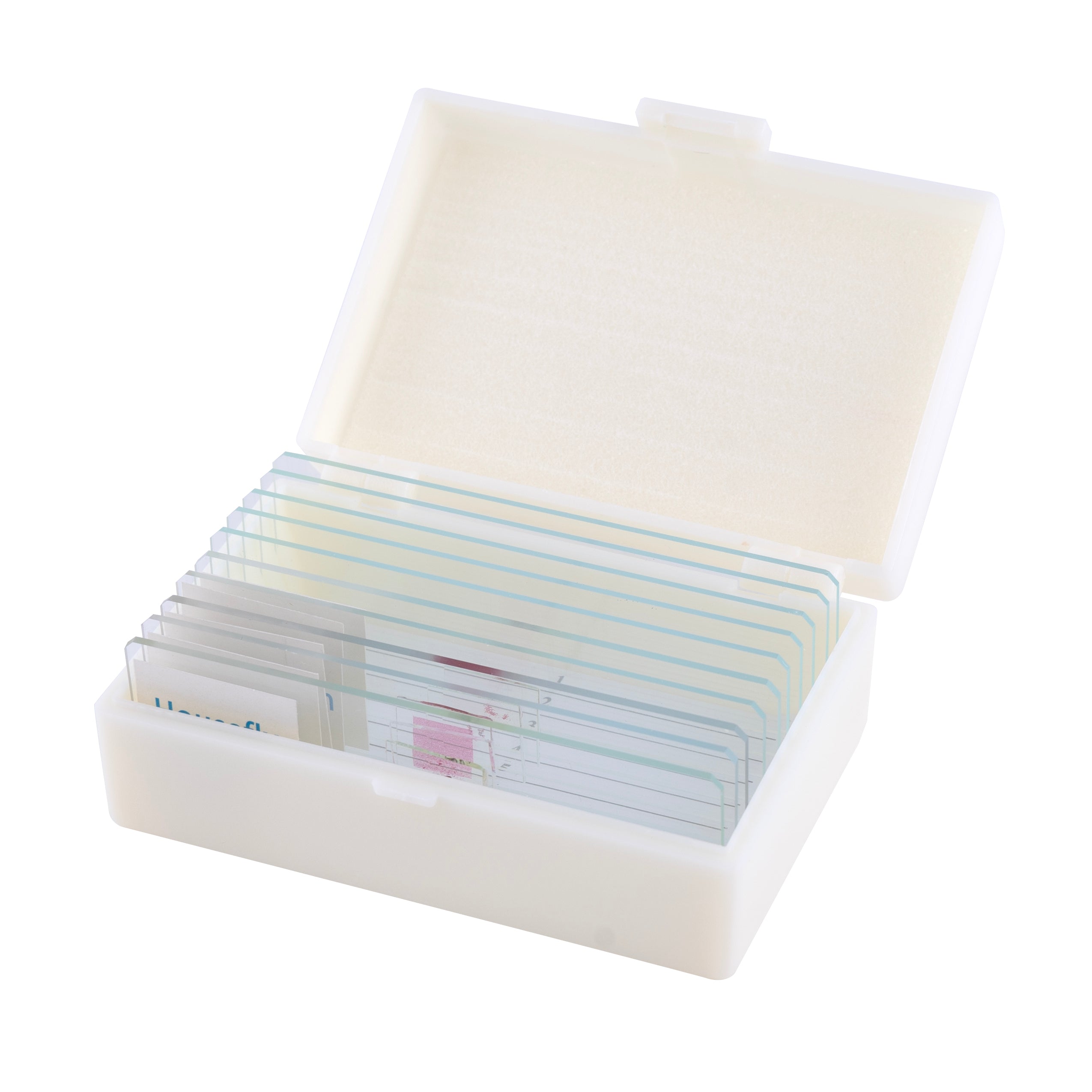 Microscopio LCD National Geographic 40x-1600x