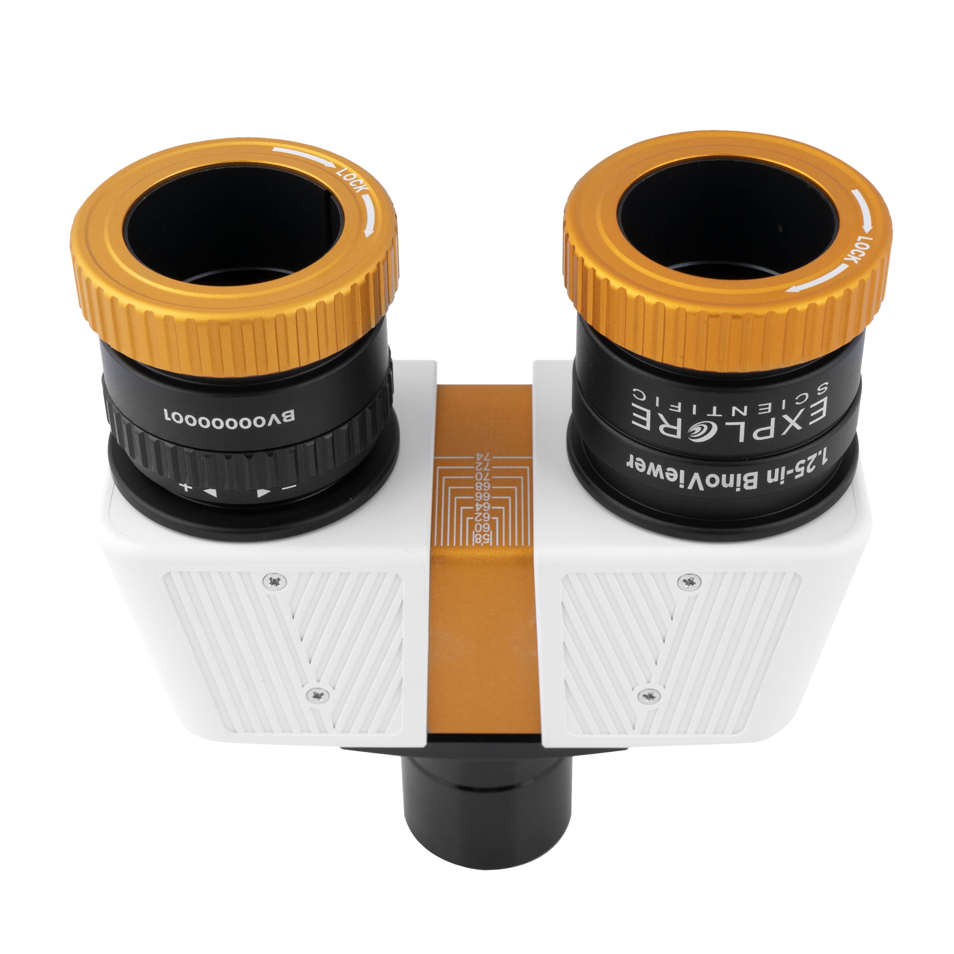 Esplora il binoviewer scientifico per telescopi - Es -binov