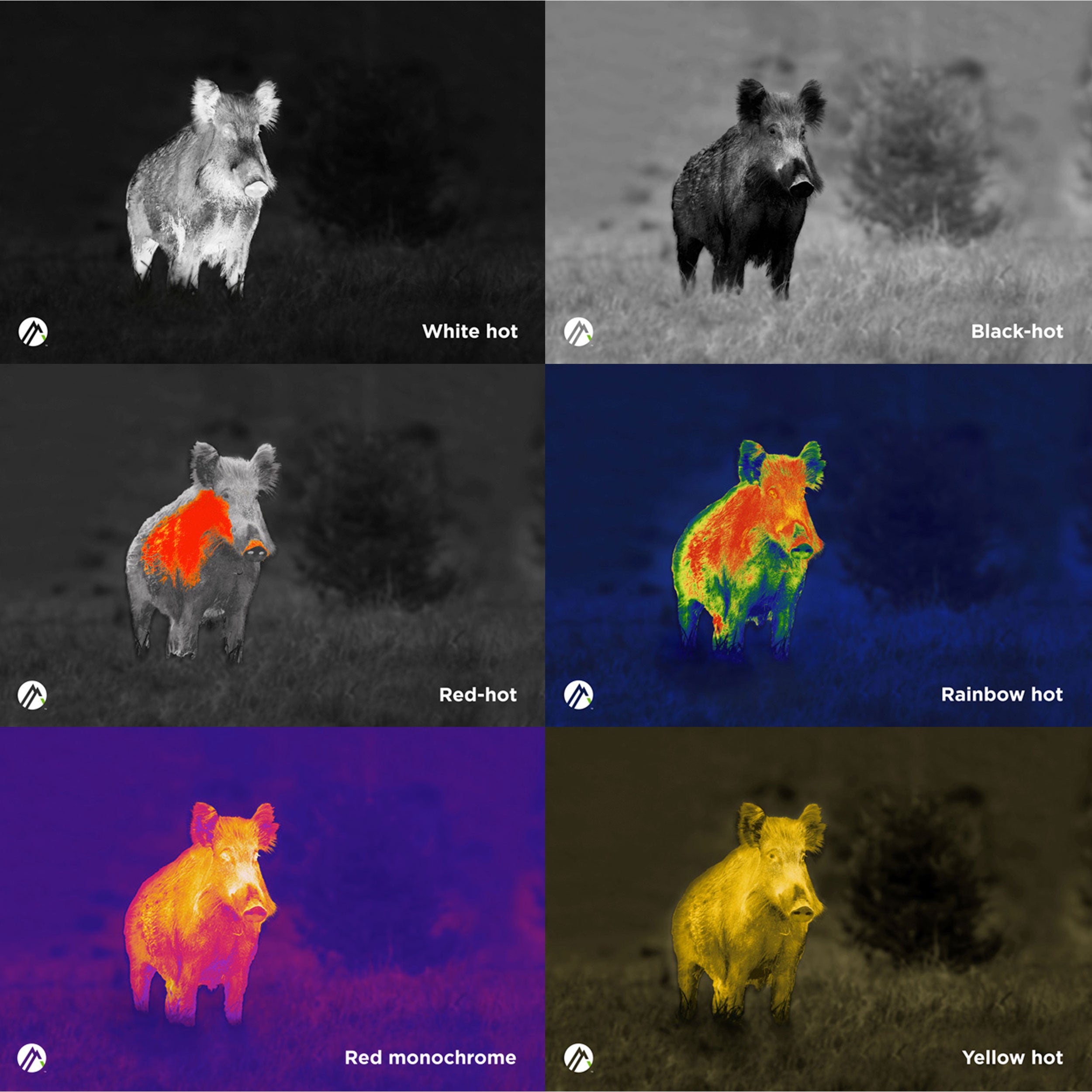 Apex 35mm 热成像单筒望远镜